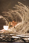 Photo 1 pour LE LAC DES CYGNES (COTE DIFFUSION)